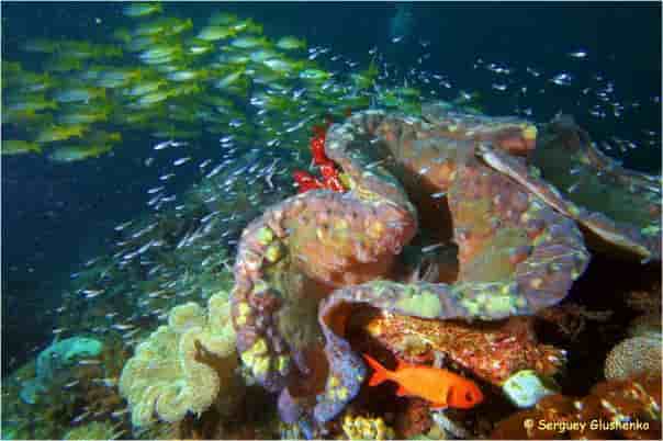 Thumbnail 6 Thumbnail 6