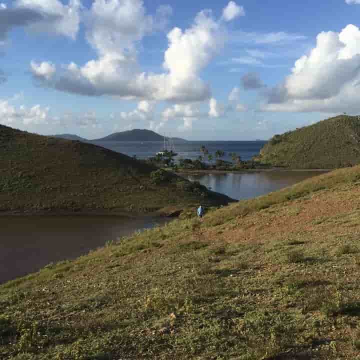 Thumbnail 13 Thumbnail 13