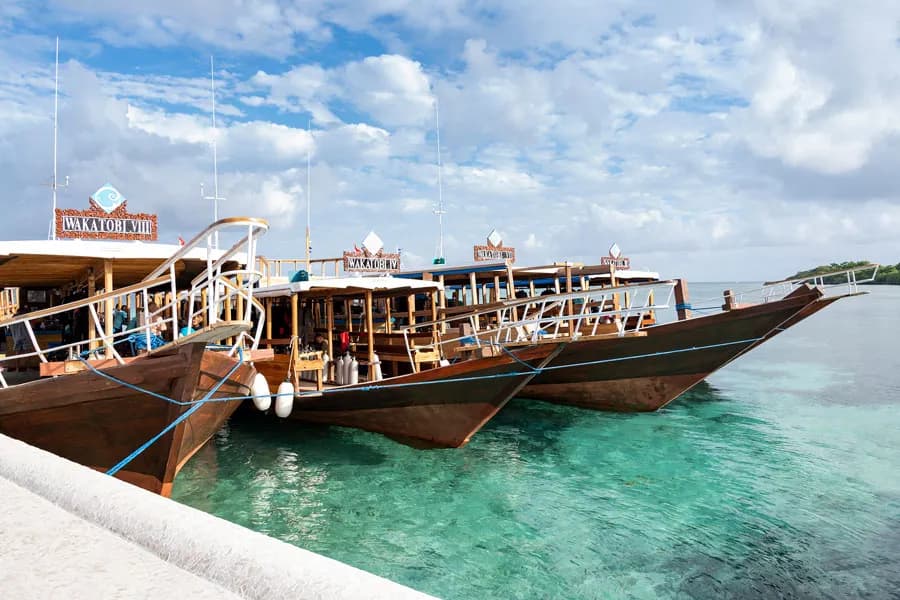 Wakatobi-dive-1.jpg Wakatobi-dive-1.jpg