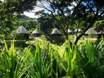 P3240437.jpg P3240437.jpg