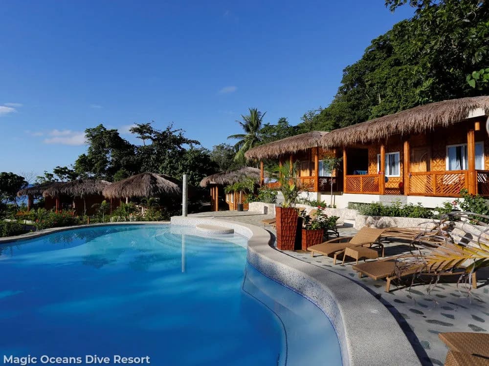 magic-oceans-2024-1.jpg magic-oceans-2024-1.jpg