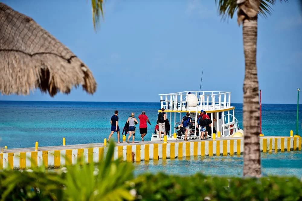 acoz-ud-4.jpg acoz-ud-4.jpg