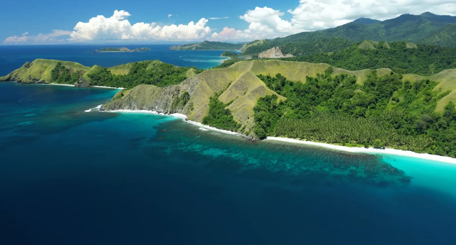 Tompotika Dive Lodge Tompotika Dive Lodge