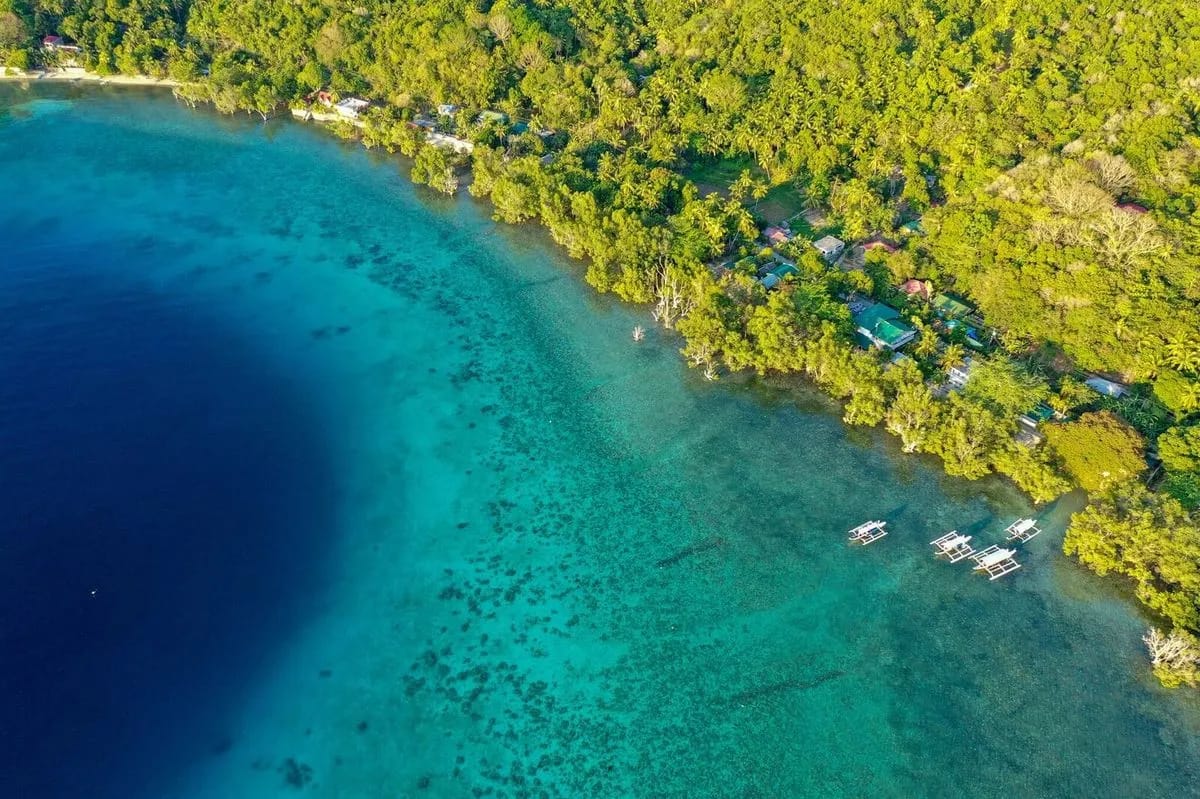 The Three P Holiday & Dive Resort and Ducks Diving Romblon - image The Three P Holiday & Dive Resort and Ducks Diving Romblon - image