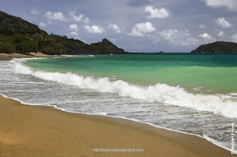 SIT-10.jpg SIT-10.jpg