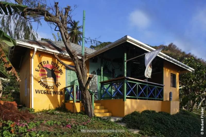 SIT-11.jpg SIT-11.jpg