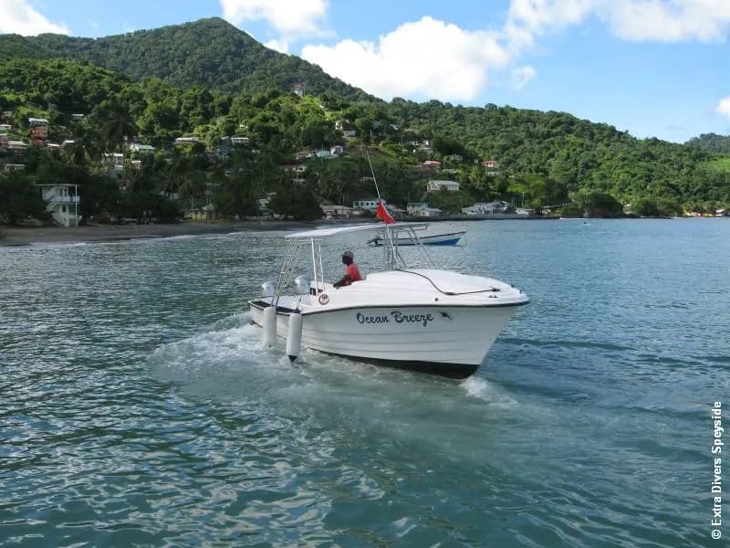 SIT-12.jpg SIT-12.jpg