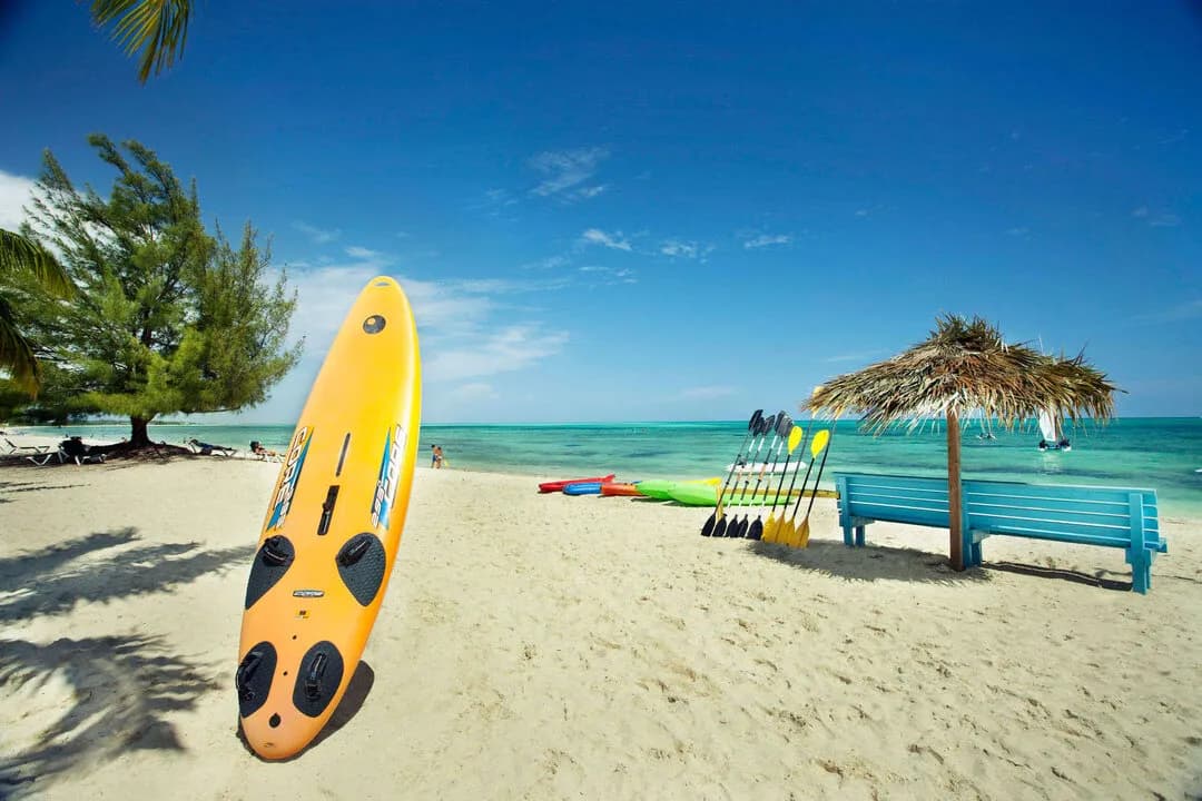 VWFBR-11.jpg VWFBR-11.jpg