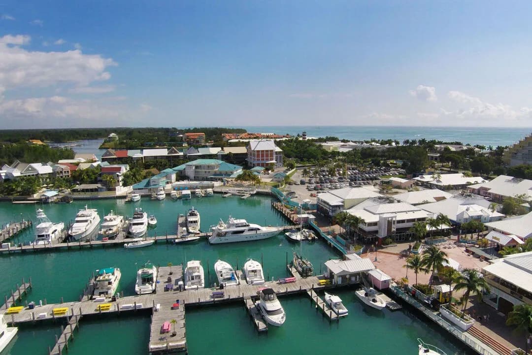 VWFBR-12.jpg VWFBR-12.jpg