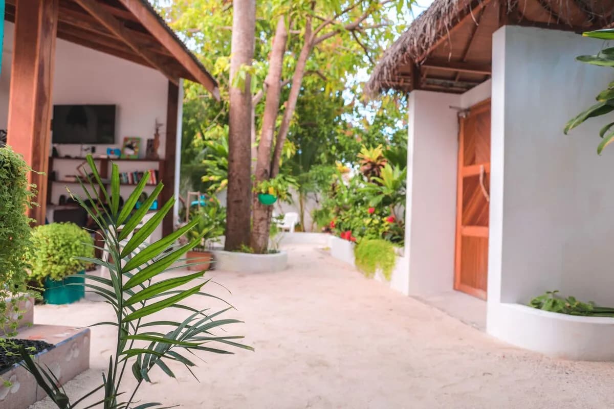 RDL-10.jpg RDL-10.jpg