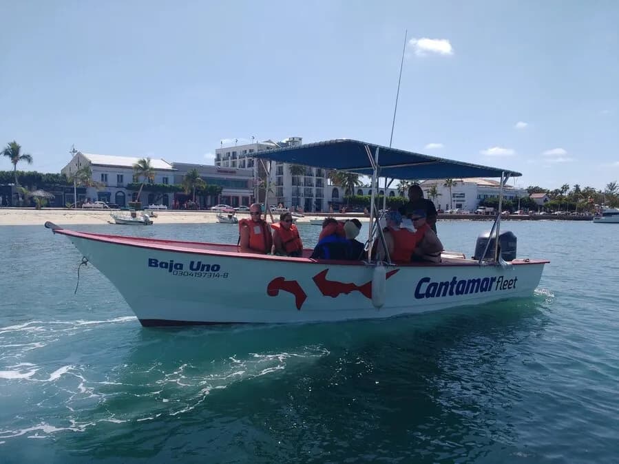 CHC-Dive-2.jpg CHC-Dive-2.jpg