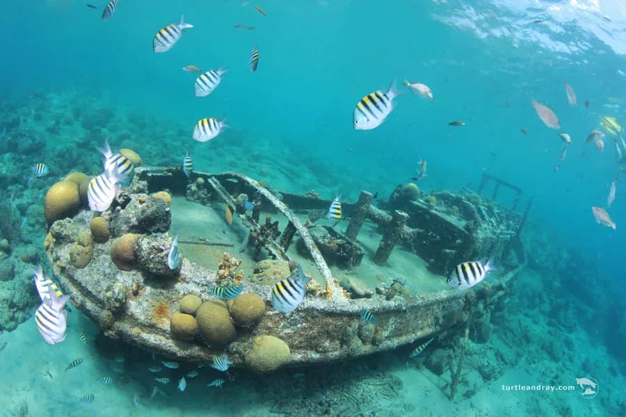 scuba-lodge-14.jpg scuba-lodge-14.jpg