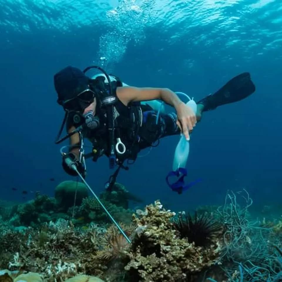 da69dd91ea061fbab0e50fa97ec99077.0.jpg da69dd91ea061fbab0e50fa97ec99077.0.jpg