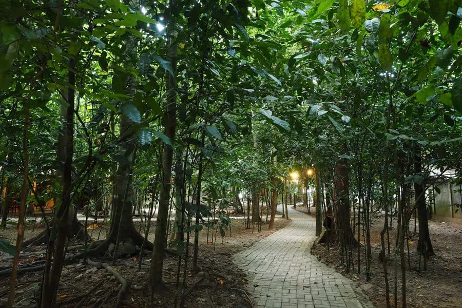 Garden with paths Garden with paths