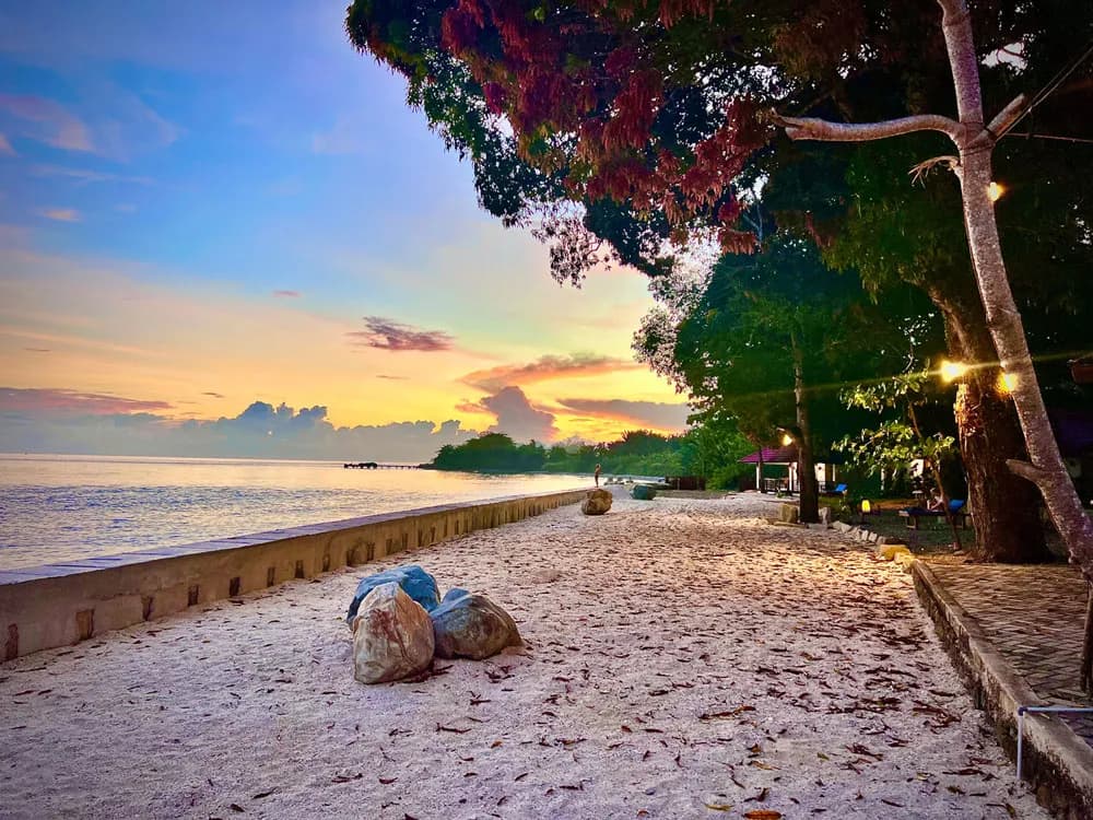 No alternative text provided No alternative text provided