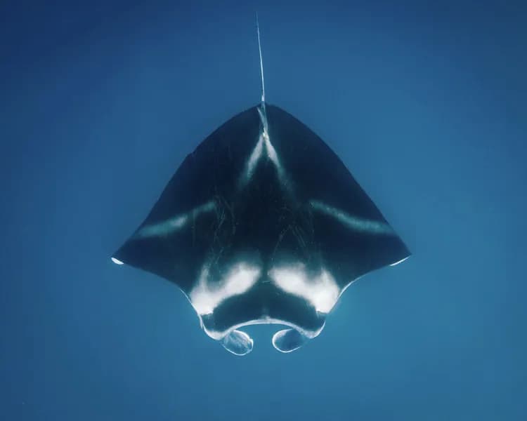 The Ark Lodge Panama The Ark Lodge Panama