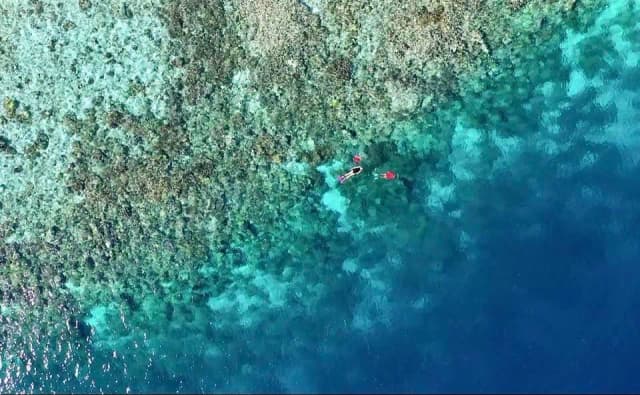 Wai Private Island Resort Raja Ampat Wai Private Island Resort Raja Ampat