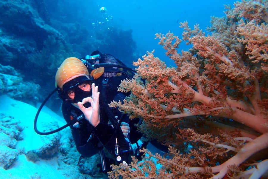 Sunshine Marine Lodge Sunshine Marine Lodge