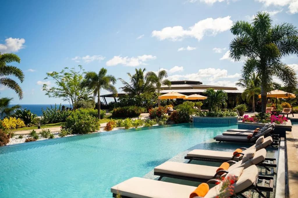 Hummingbird pool Hummingbird pool