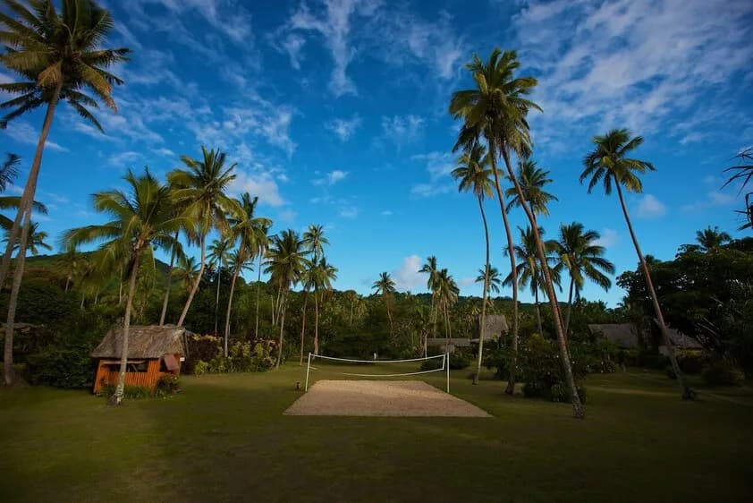 A beach volleyball court sits between palm trees and a grassy area. A beach volleyball court sits between palm trees and a grassy area.