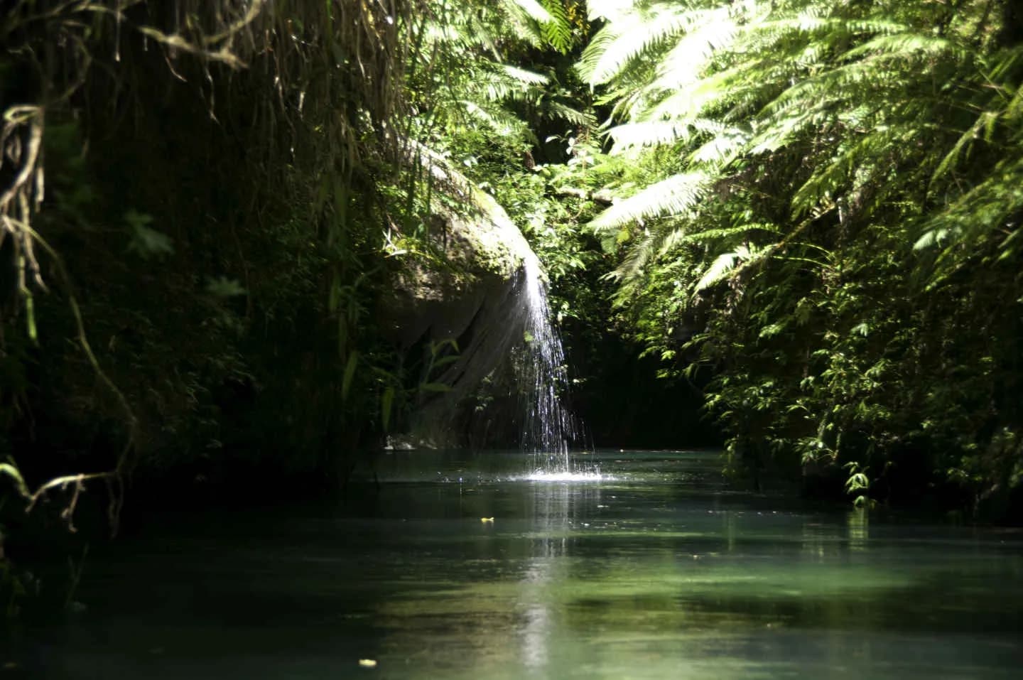 A waterfall in a tropical forest in Vanuatu. A waterfall in a tropical forest in Vanuatu.