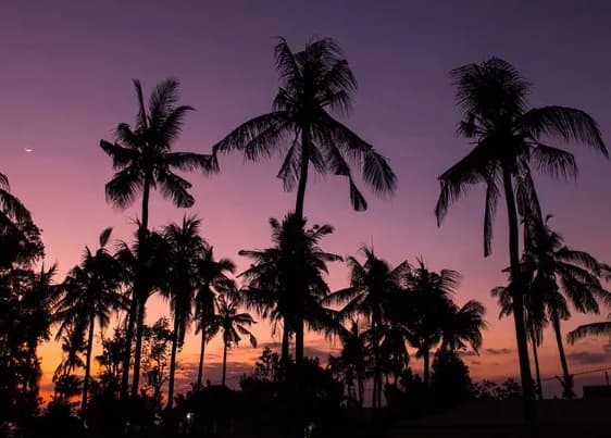 Scuba Junkie Penida Scuba Junkie Penida