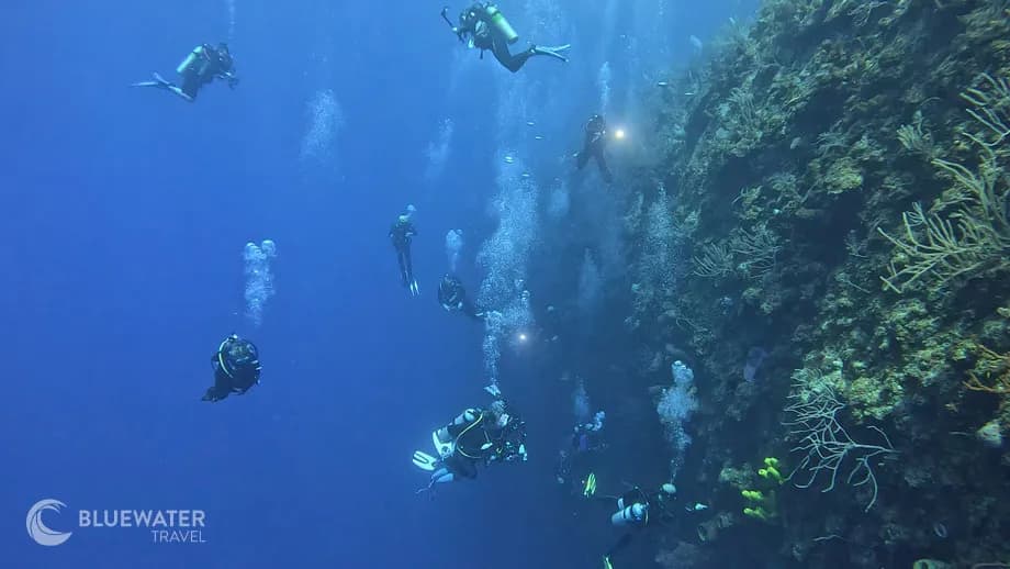 No alternative text provided No alternative text provided