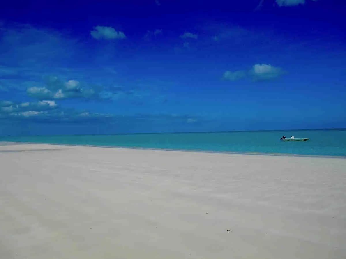 Andros Beach Club Andros Beach Club