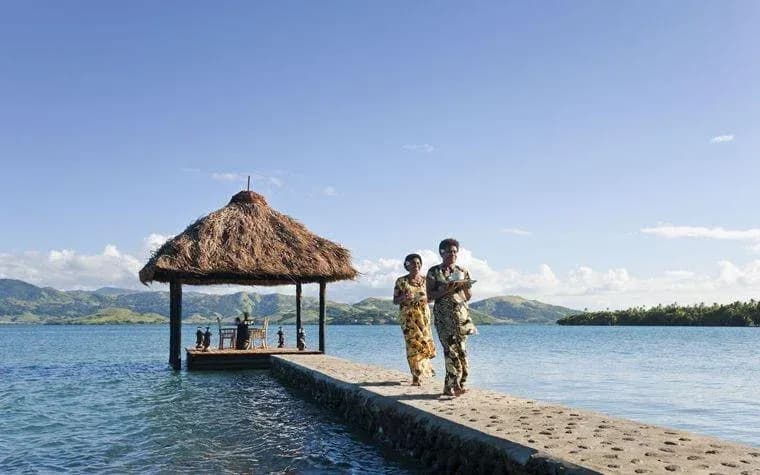 Dolphin Island Fiji Dolphin Island Fiji