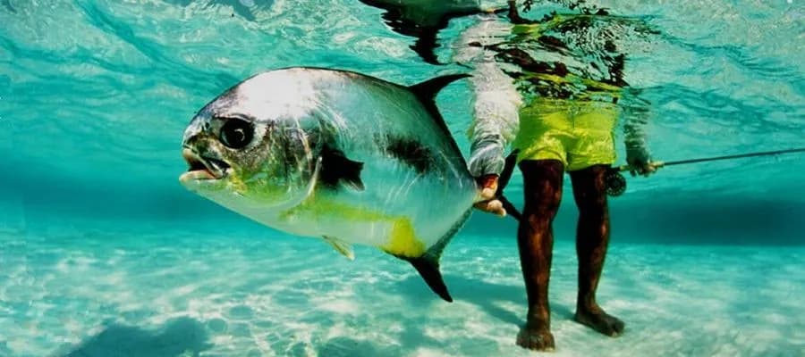 TF2696.jpg TF2696.jpg