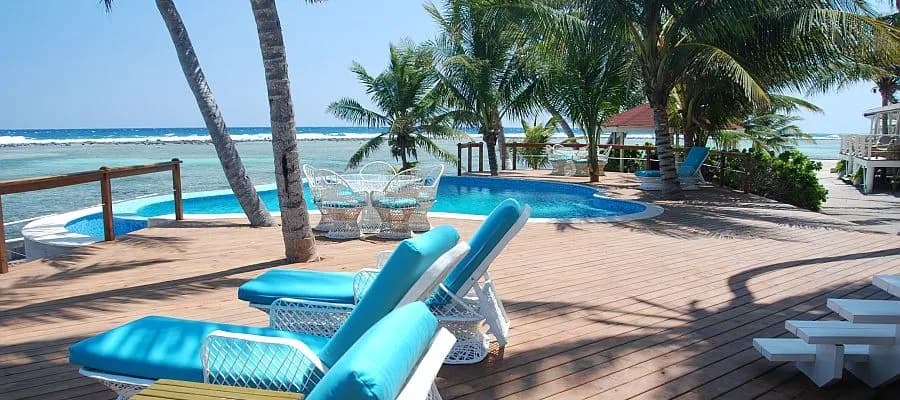 TF2701.jpg TF2701.jpg