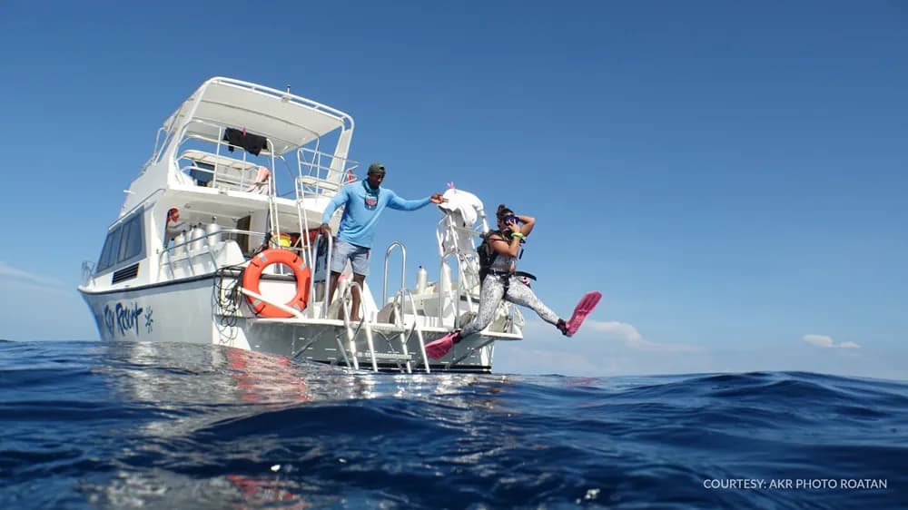Divers entering water from boat Divers entering water from boat