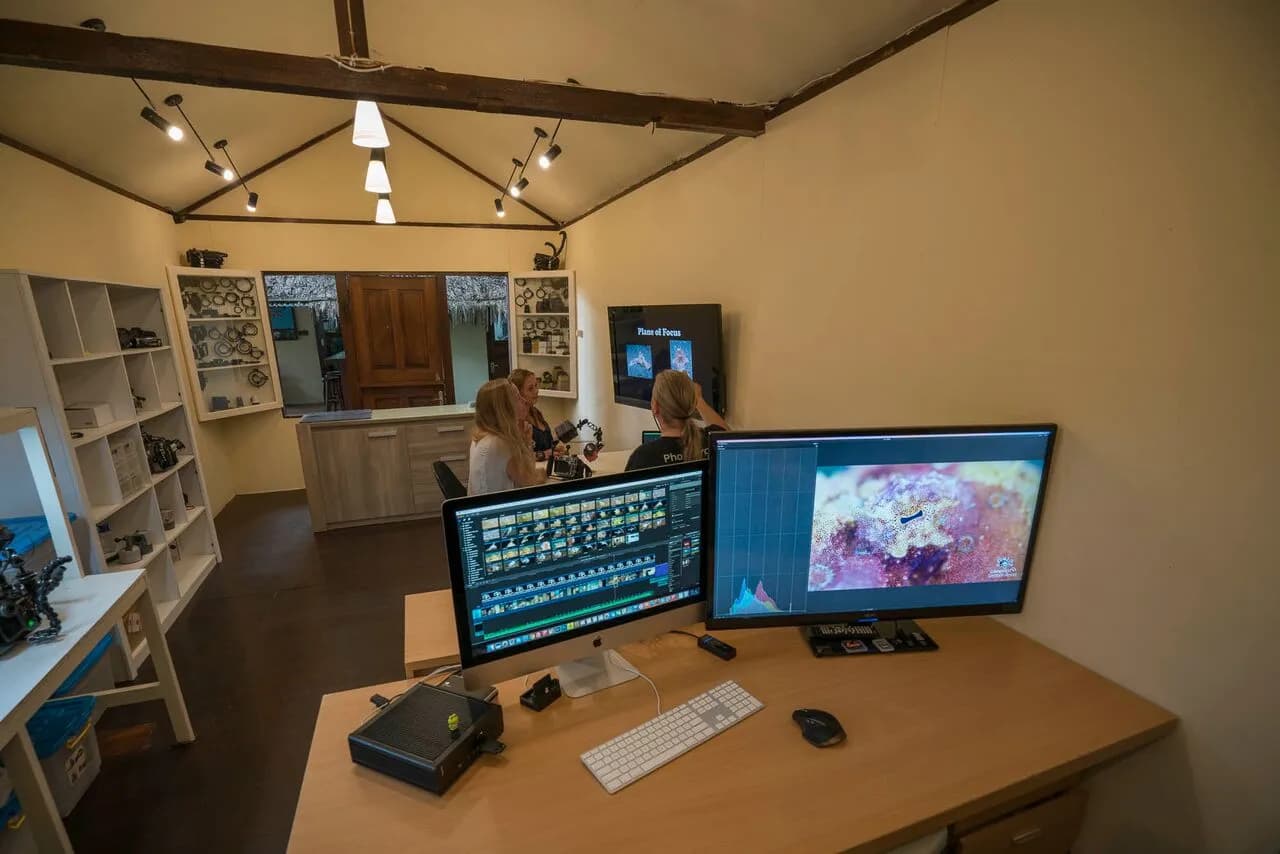 The Photo center The Photo center