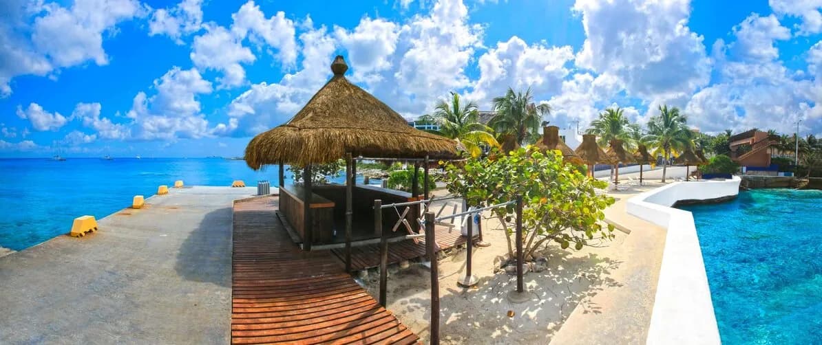 CDMC-UW-2.jpg CDMC-UW-2.jpg