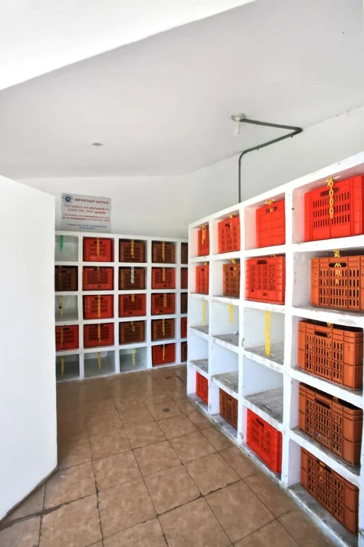 CDMC-UW-3.jpg CDMC-UW-3.jpg