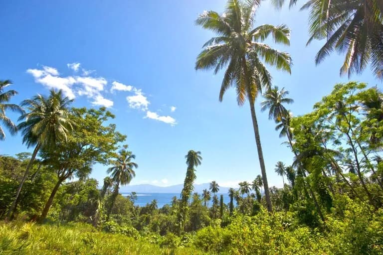 Two Fish Divers Bunaken Two Fish Divers Bunaken