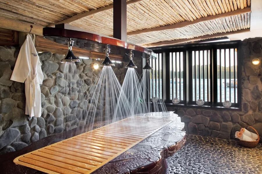 Matangi-11.JPG Matangi-11.JPG