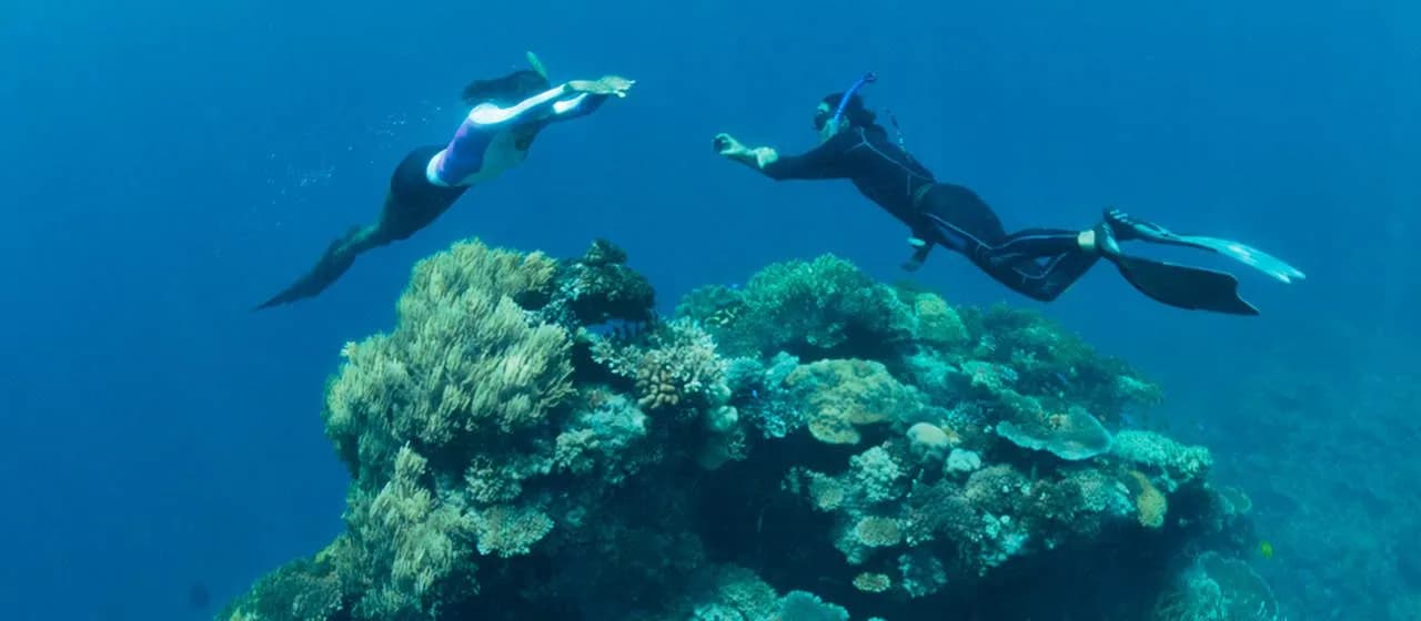 koro-sun-dive-4life-2.jpg koro-sun-dive-4life-2.jpg