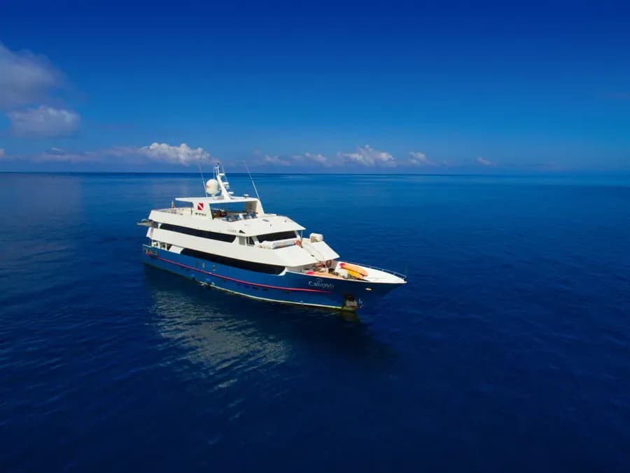 No alternative text provided No alternative text provided