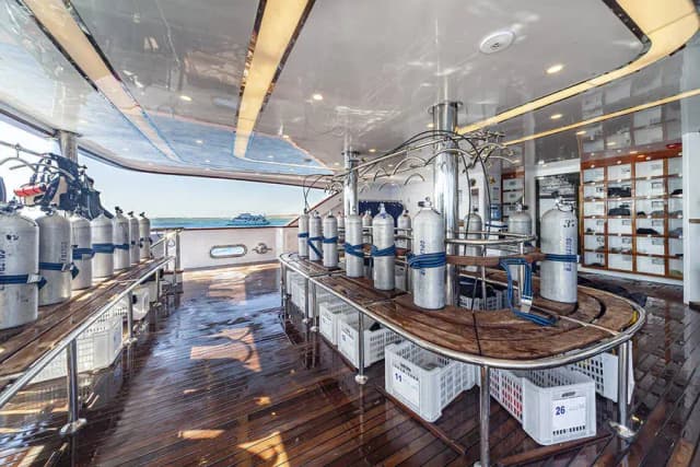 Dune Silky Special Packages 2025 Dune Silky Special Packages 2025