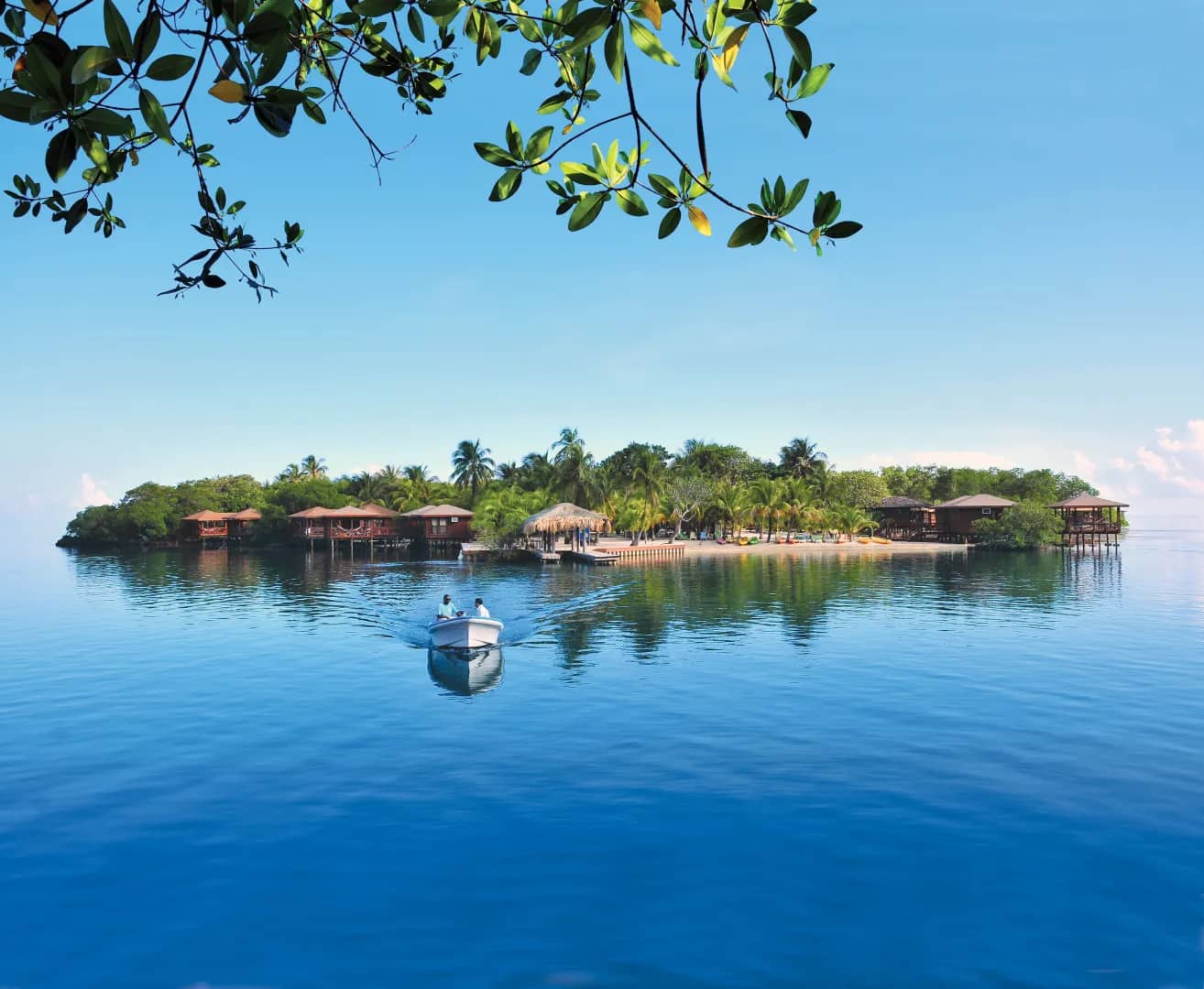 Deals & Special Offers Deals & Special Offers