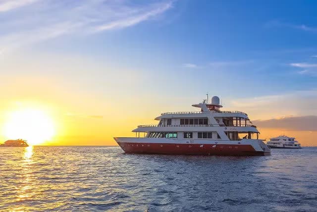 Dune Theia Special Packages 2025 Dune Theia Special Packages 2025