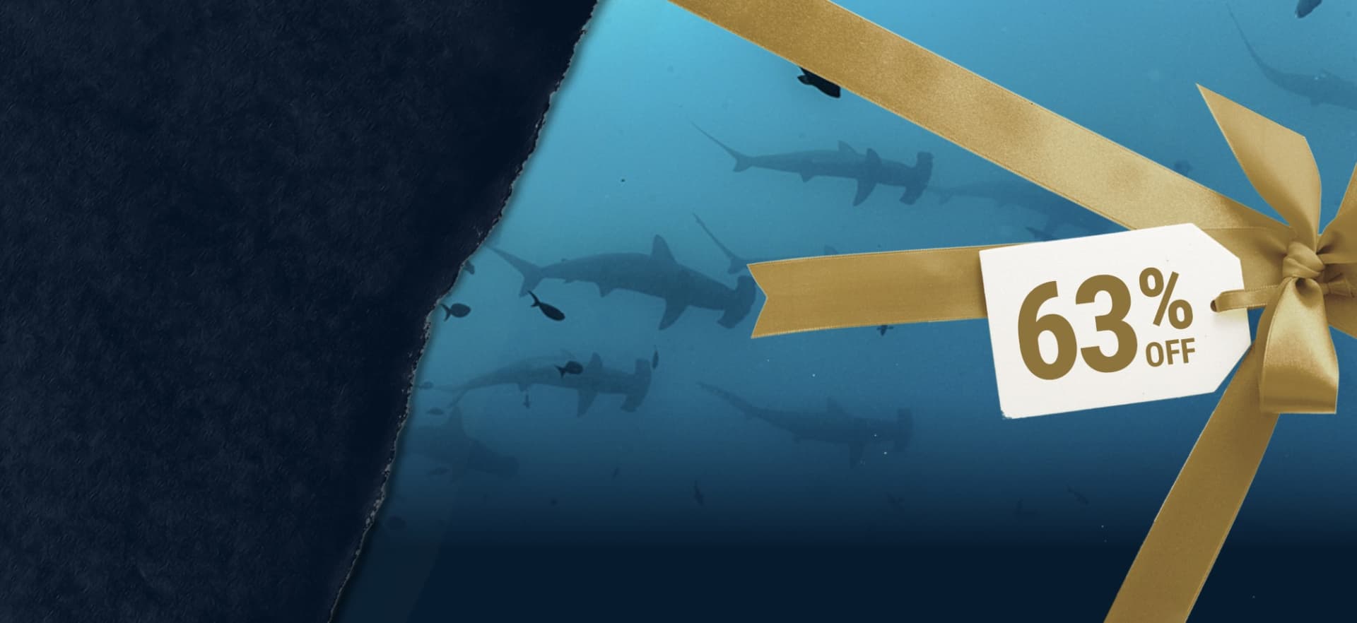 Unwrap the Biggest Travel Savings of the Year! Unwrap the Biggest Travel Savings of the Year!