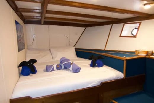 Double Berth Cabin - image Double Berth Cabin - image