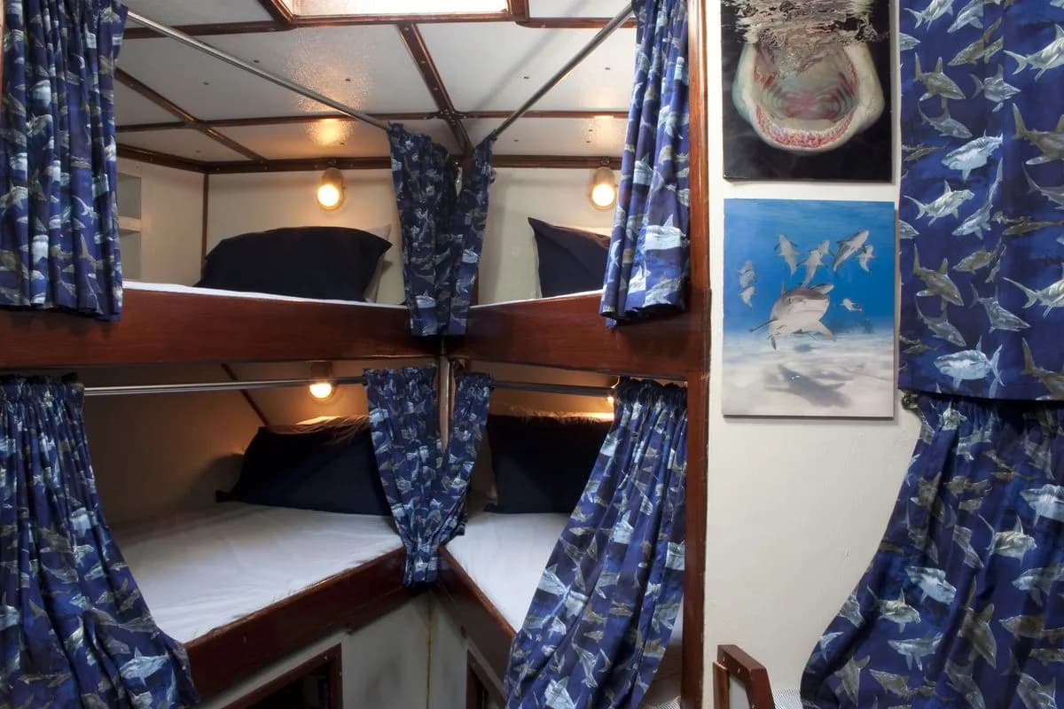 V-Berth Bunk Beds - image V-Berth Bunk Beds - image