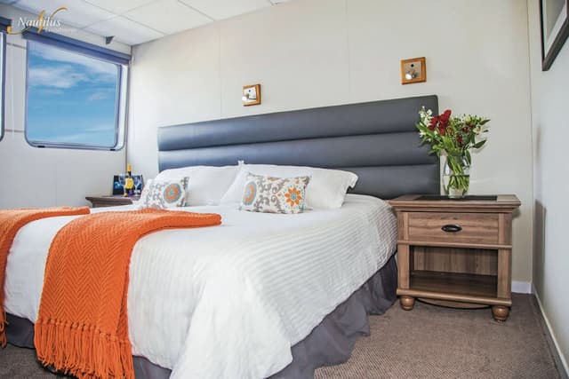 Exclusive: Socorro And Magdalena Bay Combo Trip 5% OFF Exclusive: Socorro And Magdalena Bay Combo Trip 5% OFF