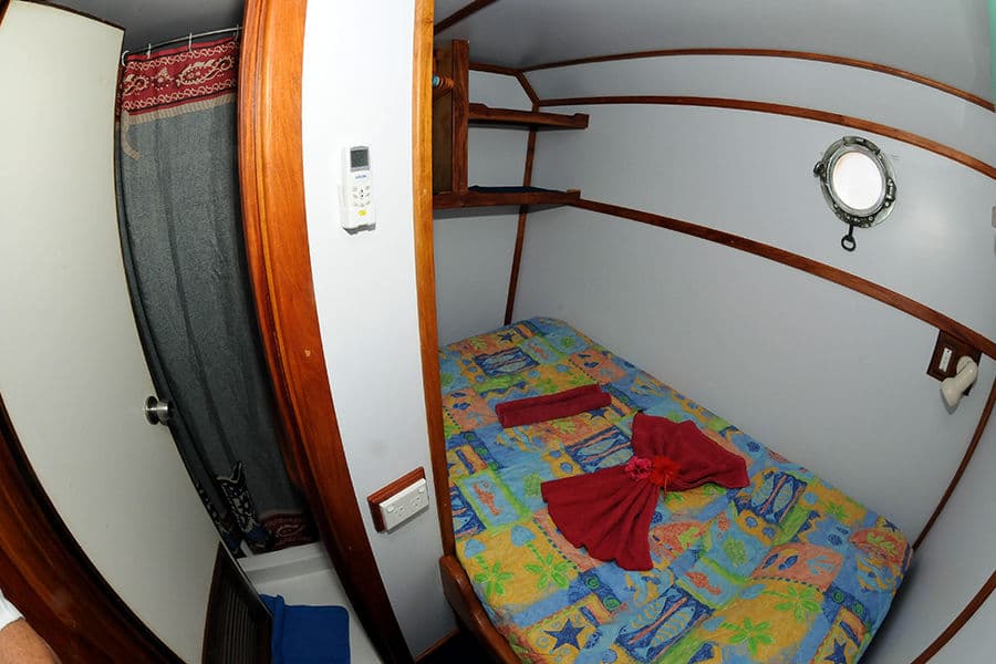 Small Single Cabin 1 Lower Deck - image Small Single Cabin 1 Lower Deck - image