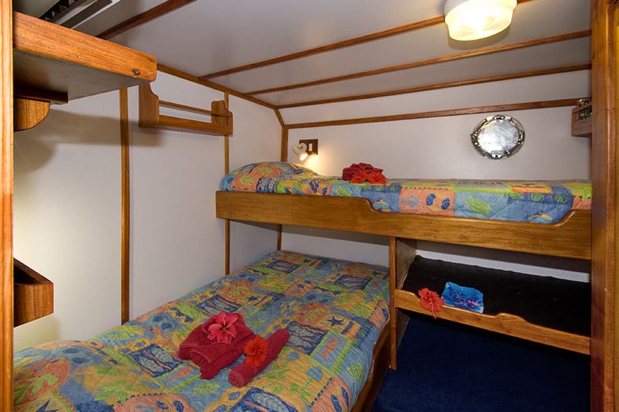 Twin/Double Cabin 3 Lower Deck - image Twin/Double Cabin 3 Lower Deck - image