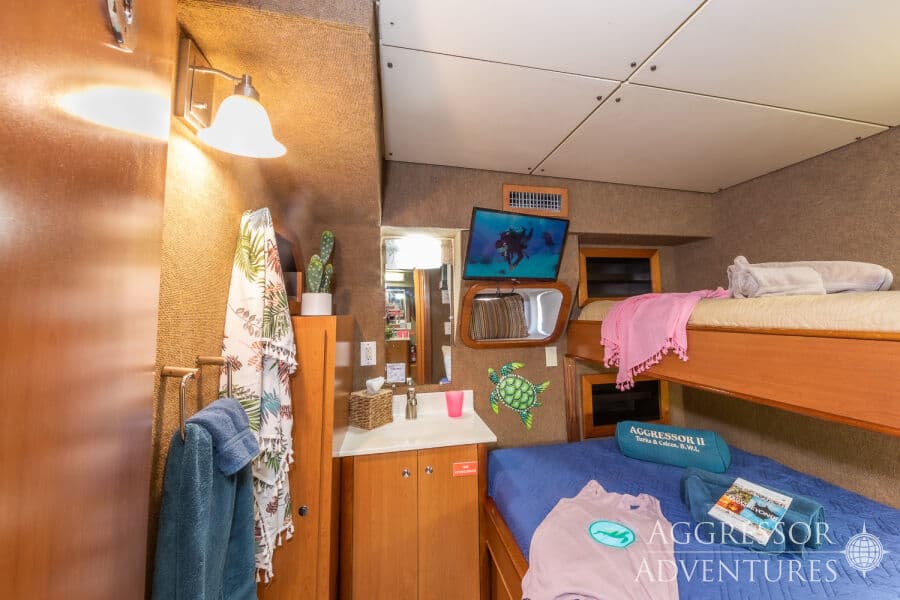 Twin-Share Lower Deck - image Twin-Share Lower Deck - image