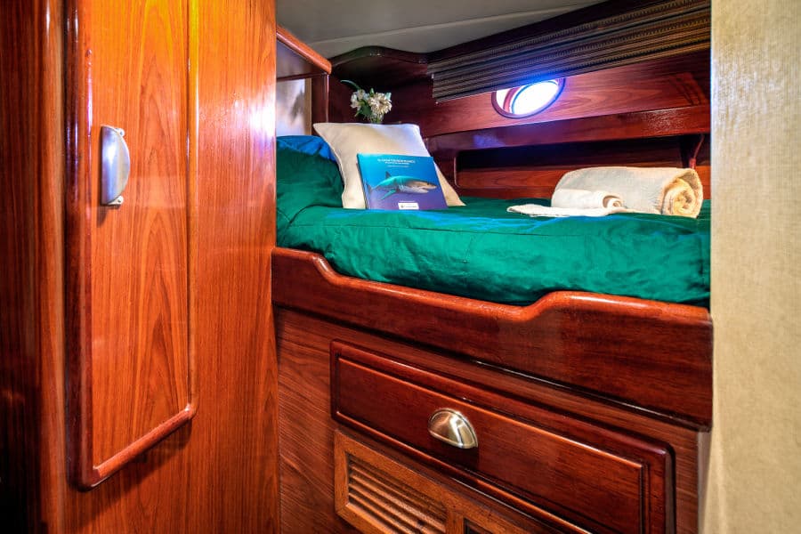 Single Stateroom Lower Deck - image Single Stateroom Lower Deck - image